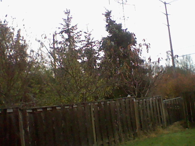 Photo of a fence.